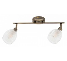 Спот Arte Lamp Biham A3184PL-2AB